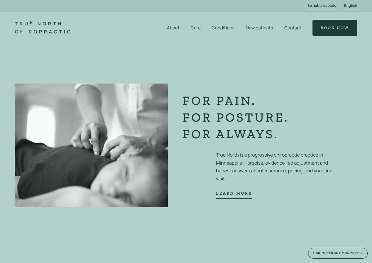 True North Chiropractic — chiropractic clinic website concept by BrightFront
